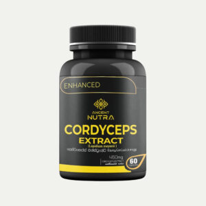 Cordyceps Mushroom Extract - Ancient Nutra