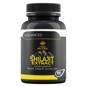 Shilajit Extract 60 Capsules - Ancient Nutra