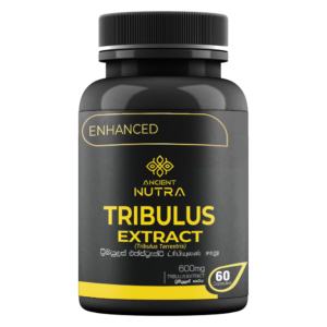 Tribulus Extract 60 Capsules - Ancient Nutra